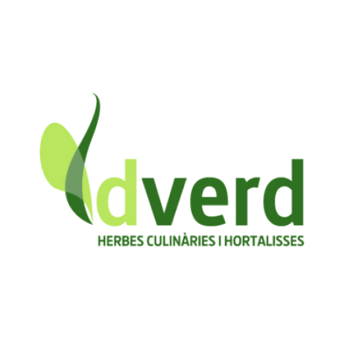 Dverd