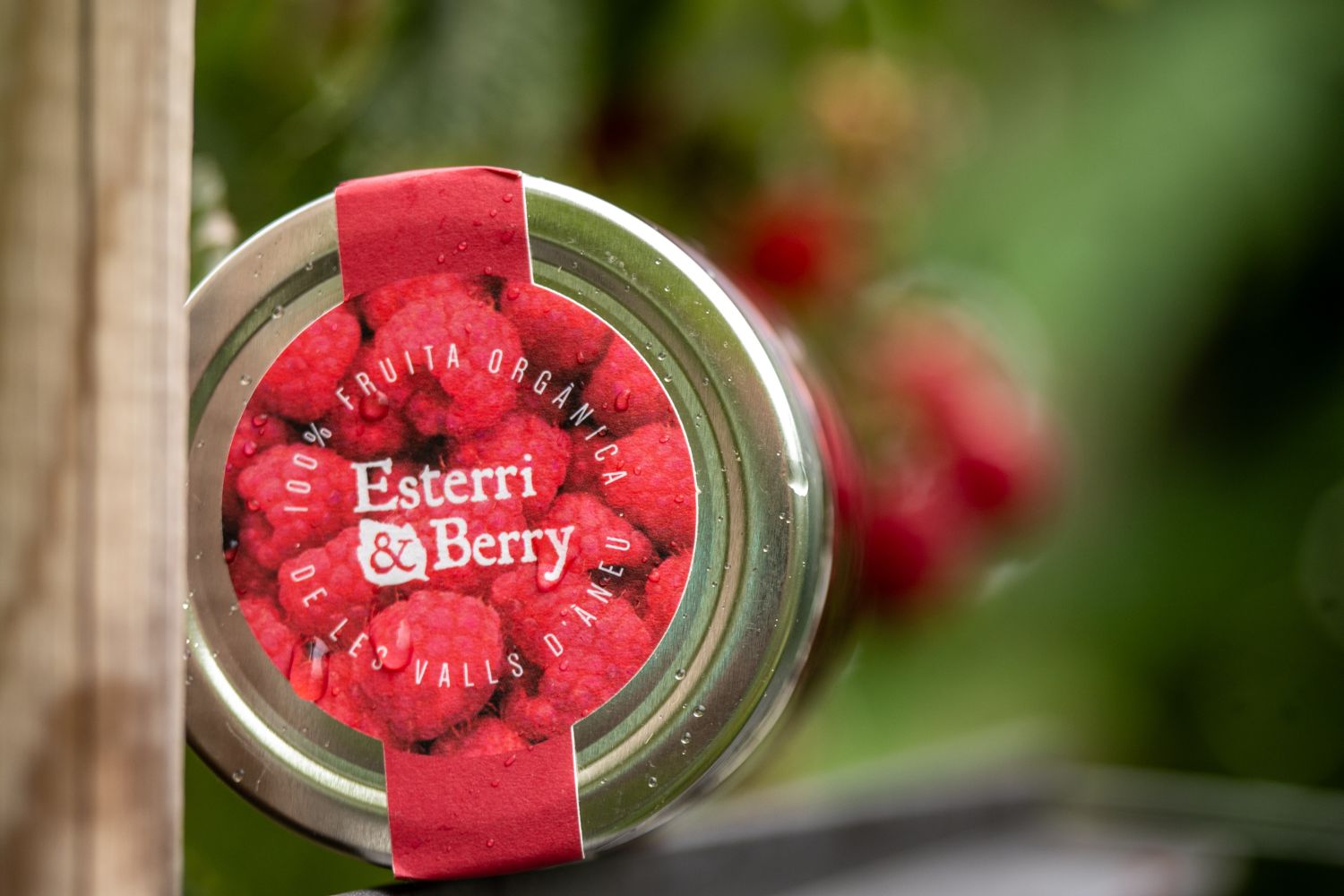 Esterri & Berry