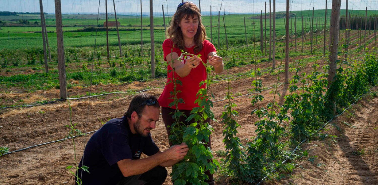 Lo Vilot Farm Brewery